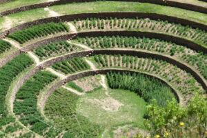 Ruinas circulares