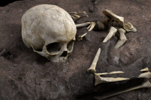 Homo imperfectus