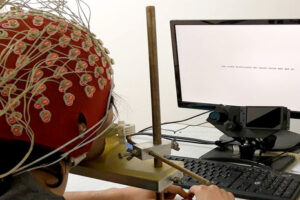 Procesos cerebrales