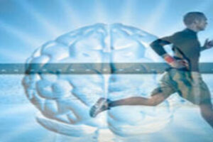 Neurociencia y deporte