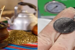Yerba y pilas
