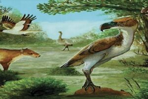 Aves del terror