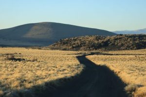 Biodiversidad patagónica