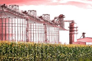 Modelo agrario y Dictadura