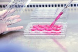 Ciencia y Técnica